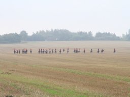 img_6017_web